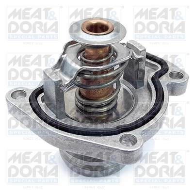 Thermostat, coolant